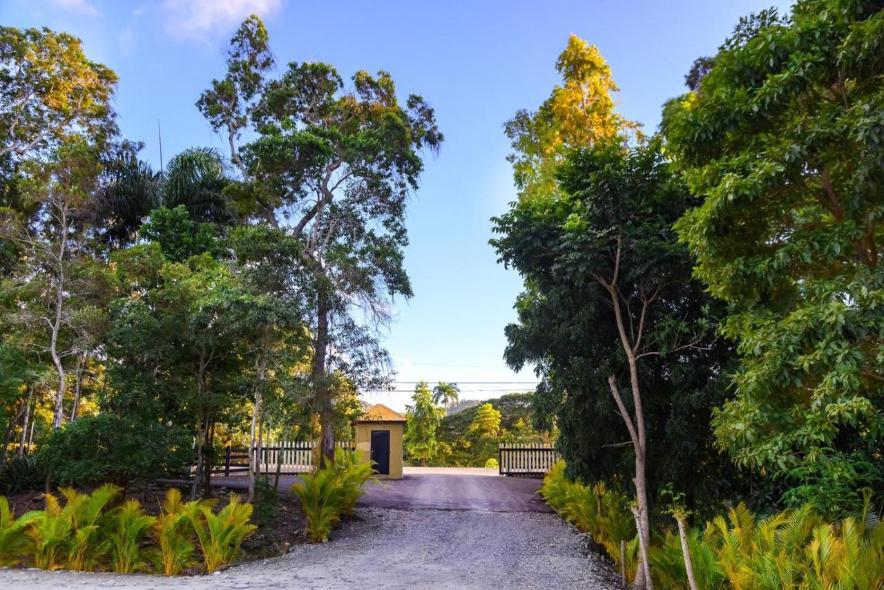 Hacienda La Huerta Puerto Plata, 1 Bdr Villa Luaran gambar