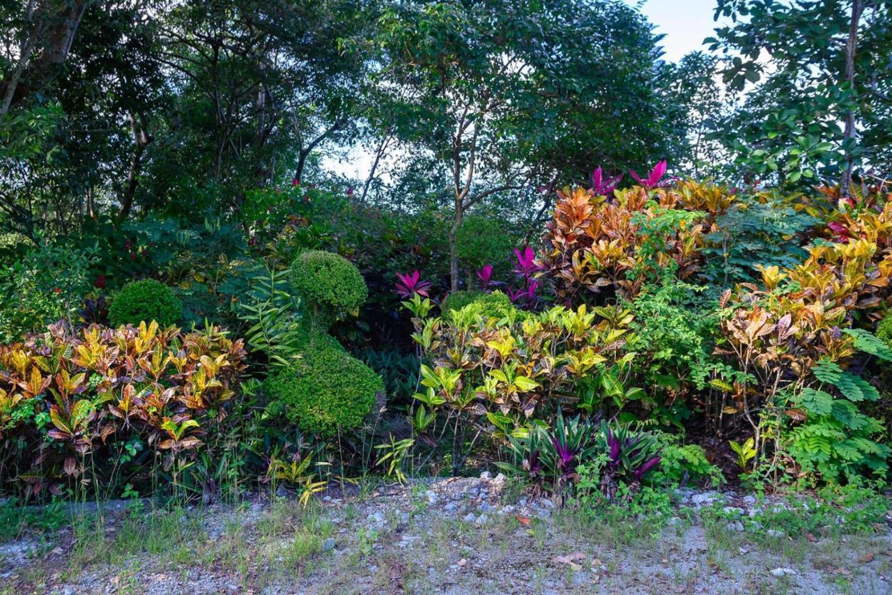 Hacienda La Huerta Puerto Plata, 1 Bdr Villa Luaran gambar